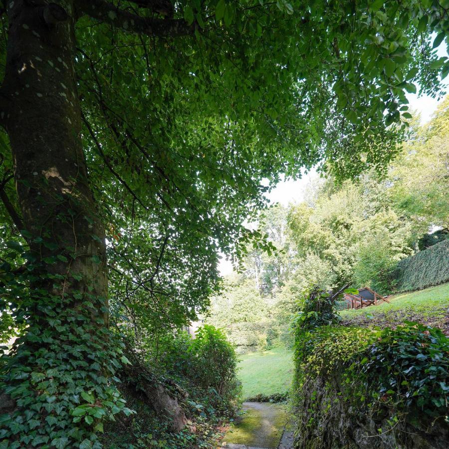 Les Terrasses Des Falizes B&B Rochefort Esterno foto